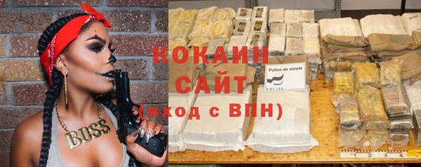 гашик Белокуриха