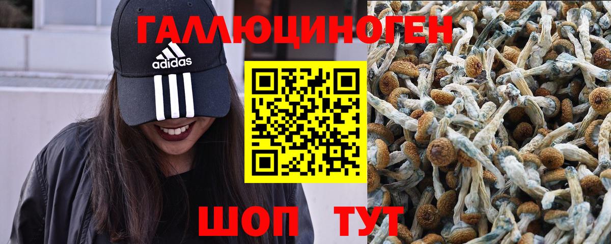 Галлюциногенные грибы прущие грибы  Вход с VPN  Дальнегорск 
